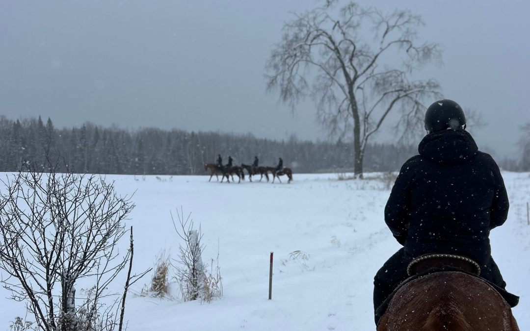 Quoi faire pendant les fêtes en Estrie?