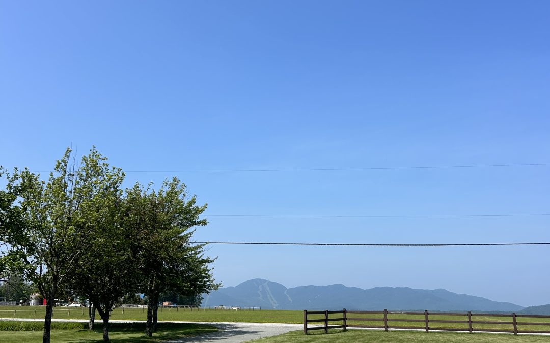 C’est officiel : nos premiers pensionnaires arrivent le 1er août!
