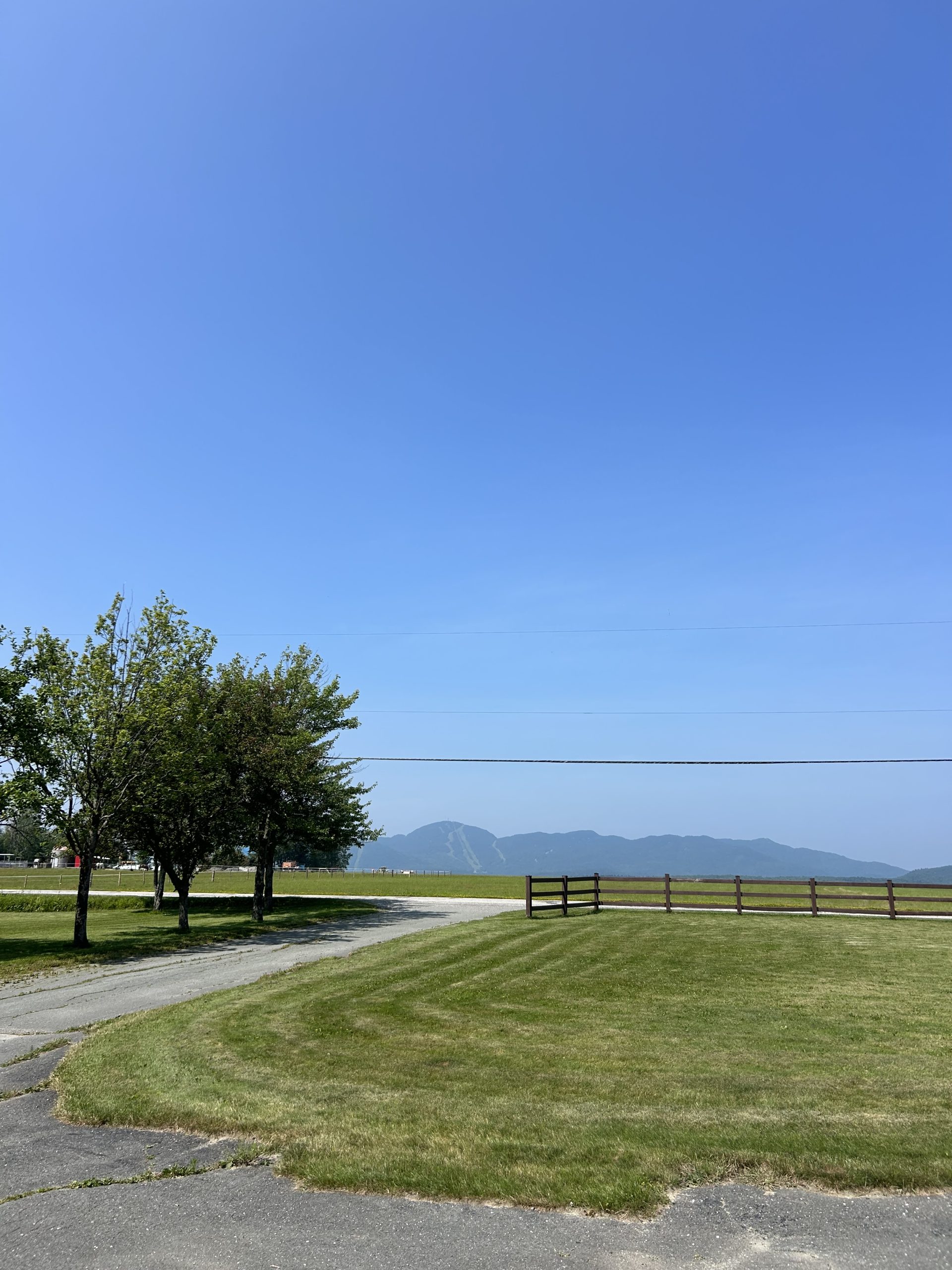 IMG_5462 vue écurie