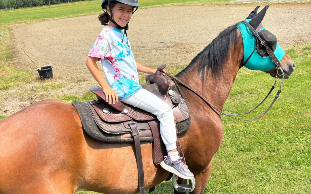 Session automnale – Initiation à l’équitation