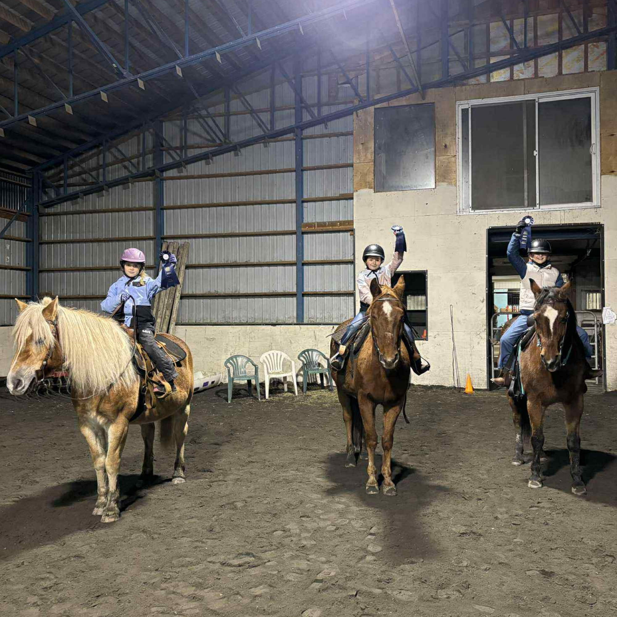 Photo d'un cheval blanc et un cheval brun