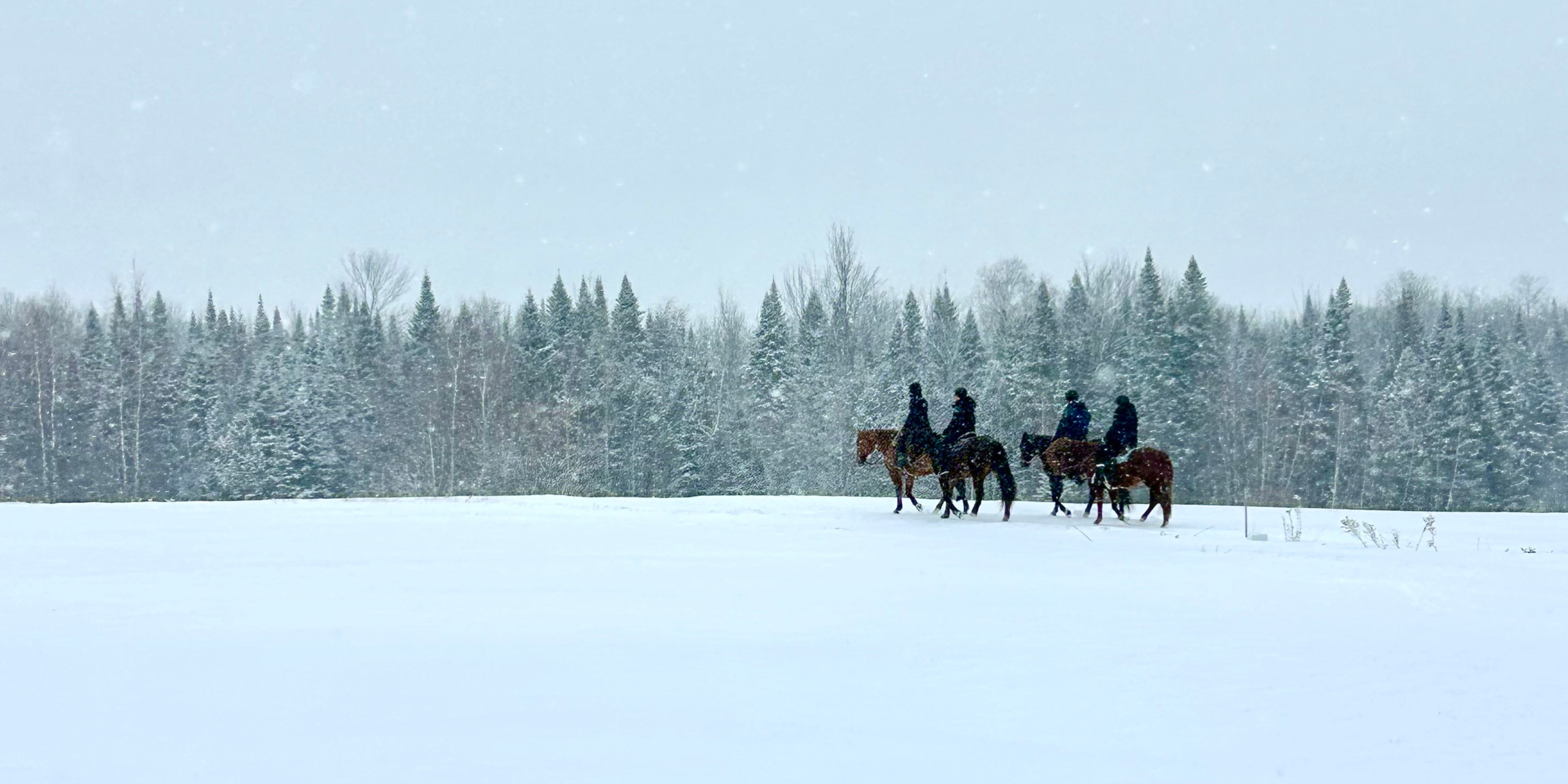 Horizon balade cheval